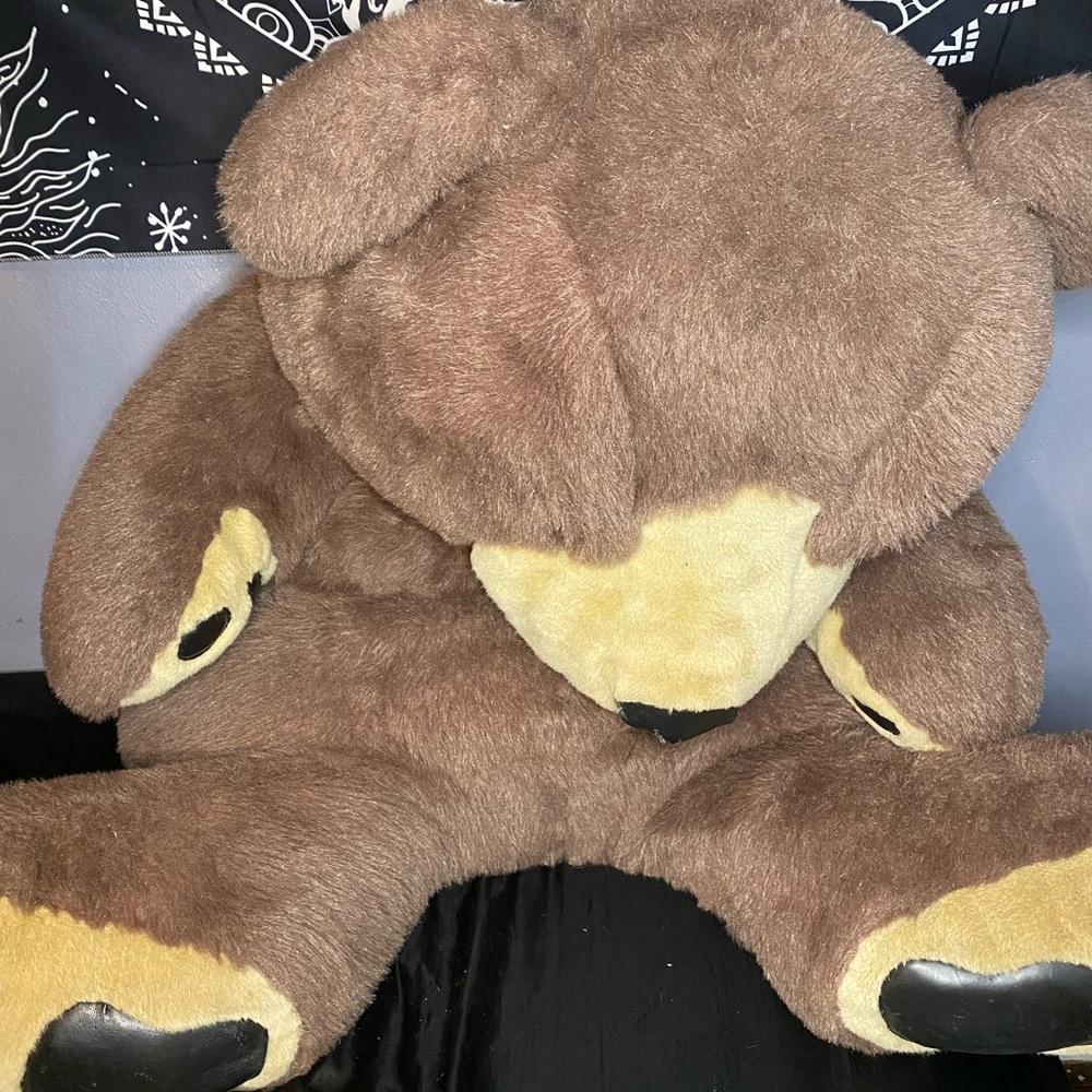 Brown and light brown human sized bear the nose needs to be sewn up a little